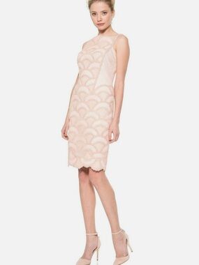 Tadashi Shoji Antique Pink Rosette Scalloped Corded Tulle Lace Sheath